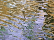 Ripples X